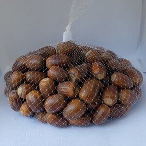 Huge Post Oak Acorns With No Stems Coming This Fall!